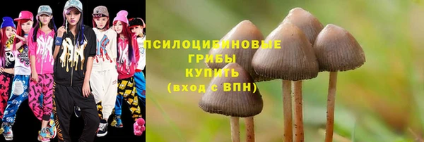 трава Алзамай