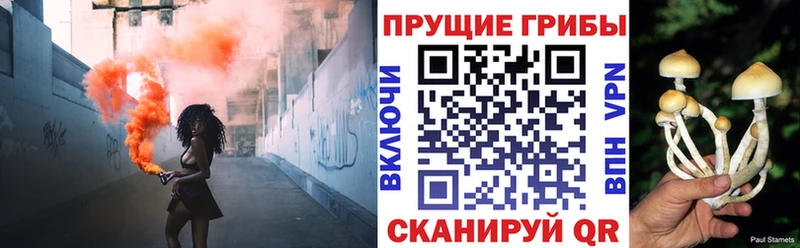 продажа наркотиков гидра маркетплейс Псилоцибиновые грибы мухоморы Златоуст